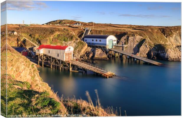 RNLI Stations (St David's) Canvas Print by Andrew Ray