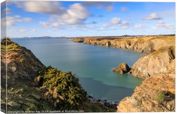 Dinas Fawr view (Pembrokeshire) Canvas Print by Andrew Ray