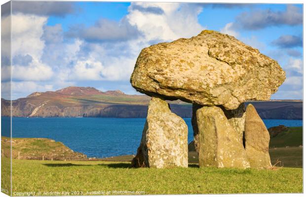 Carreg Samson Burial Chamber Canvas Print by Andrew Ray