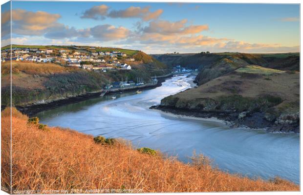Morning at Solva  Canvas Print by Andrew Ray