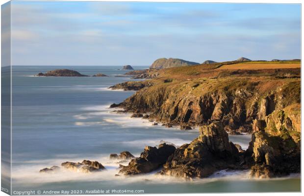 Coast at St Non's Canvas Print by Andrew Ray