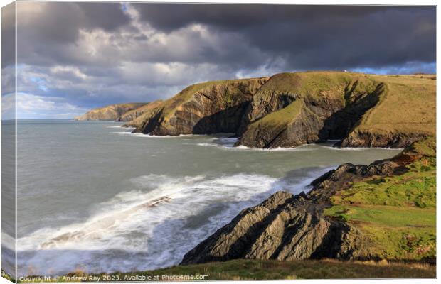 Ceibwr Bay Canvas Print by Andrew Ray