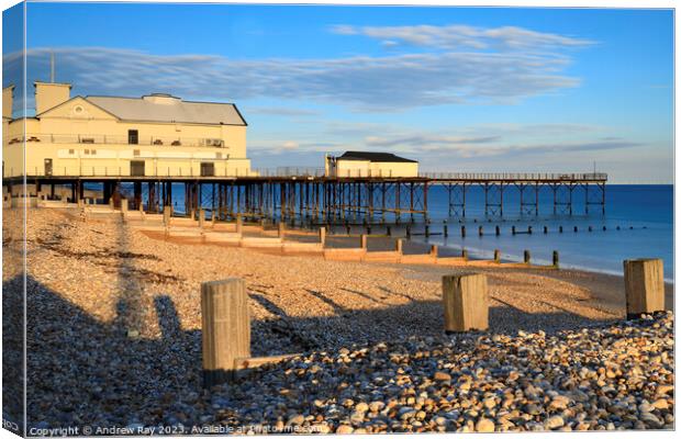 Bognor Regis Pier  Canvas Print by Andrew Ray