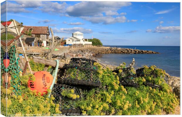 Lobster pots at Steephill Cove  Canvas Print by Andrew Ray