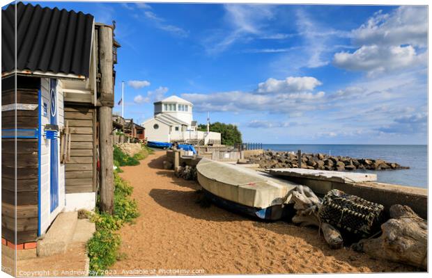 Steephill Cove Canvas Print by Andrew Ray