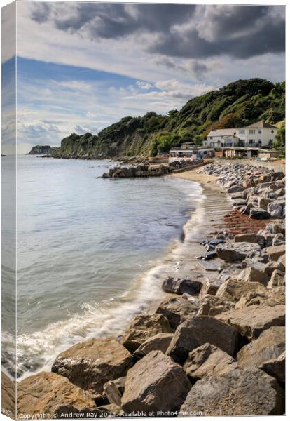 Coast view (Steephill Cove) Canvas Print by Andrew Ray