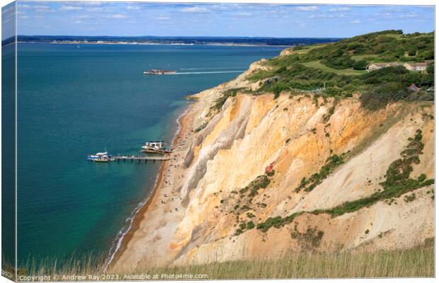 Alum Bay view Canvas Print by Andrew Ray