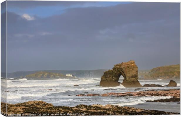 Thurlestone Arch and Burgh Island Canvas Print by Andrew Ray