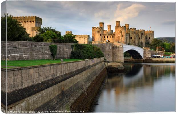 First light on Conwy Castle  Canvas Print by Andrew Ray