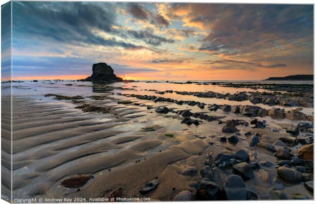 Black Rock at sunset (Widemouth Bay) Canvas Print by Andrew Ray