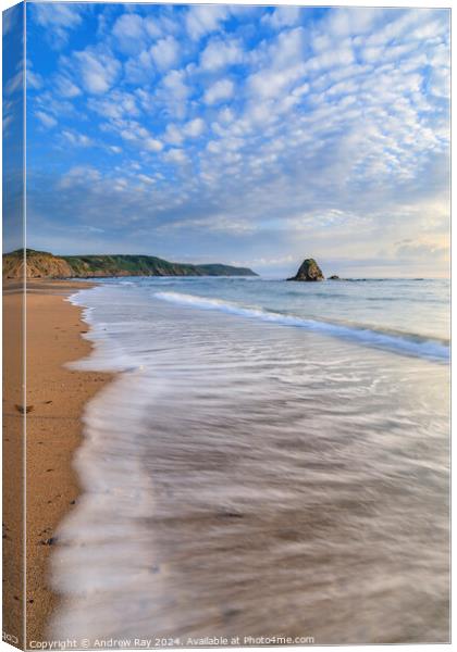 Towards Black Rock (Widemouth Bay) Canvas Print by Andrew Ray