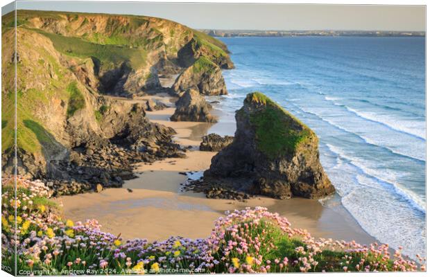 Above Bedruthan Steps Beach  Canvas Print by Andrew Ray