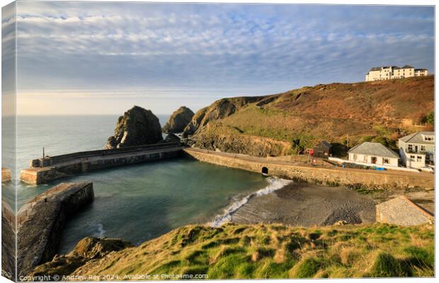Above Mullion Harbour  Canvas Print by Andrew Ray