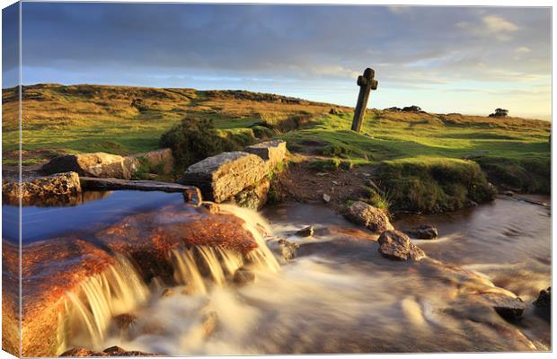 Windy Post (Dartmoor) Canvas Print by Andrew Ray