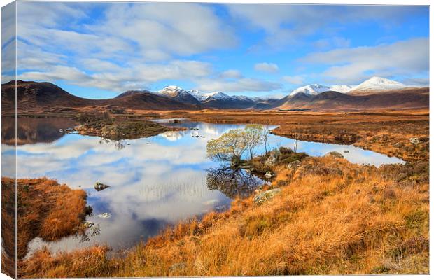 Autumn at Lochan na h-Achlaise Canvas Print by Andrew Ray