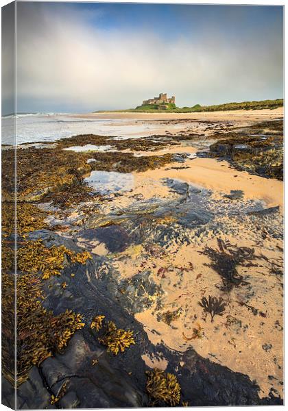 Bamburgh Beach Canvas Print by Andrew Ray