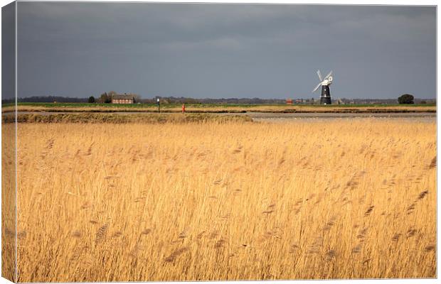 Burgh Castle Marshes Canvas Print by Andrew Ray
