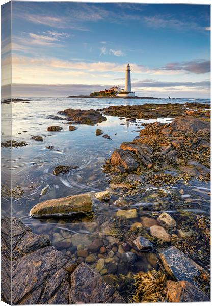 High Tide at St Mary's Lighthouse Canvas Print by Andrew Ray