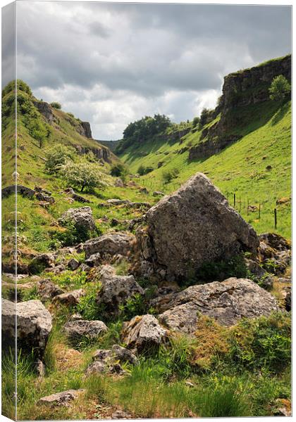 Lathkill Dale Canvas Print by Andrew Ray