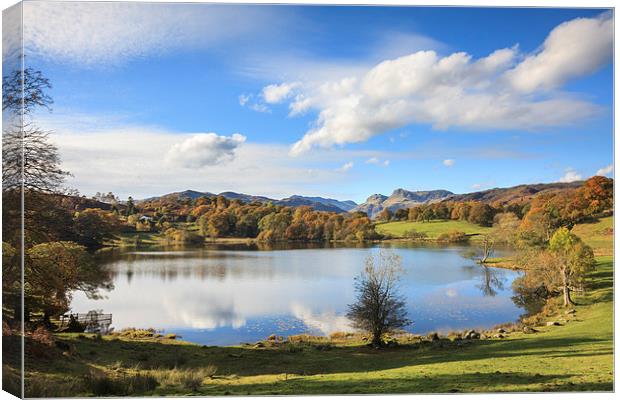 Loughrigg Tarn Canvas Print by Andrew Ray