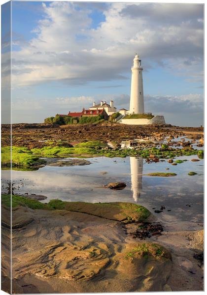 Low Tide at St Mary's Lighthouse  Canvas Print by Andrew Ray