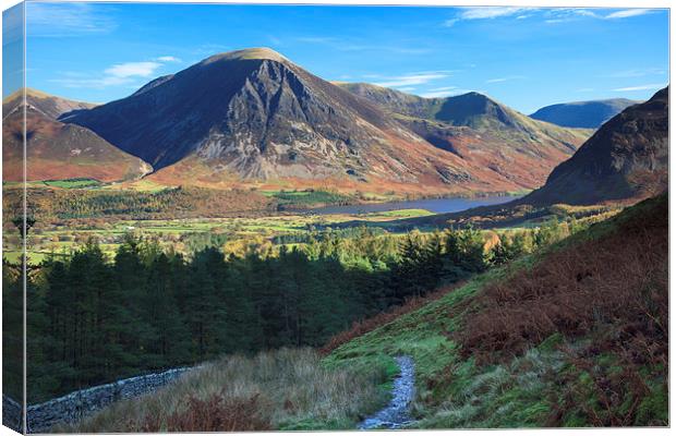 Loweswater Terrace Canvas Print by Andrew Ray