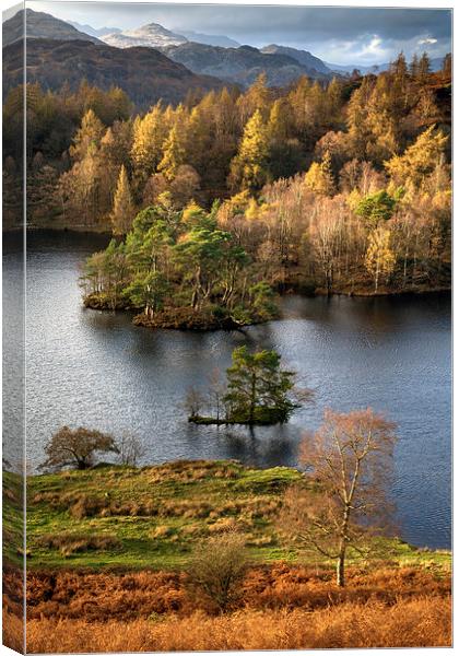 Tarn Hows  Canvas Print by Andrew Ray