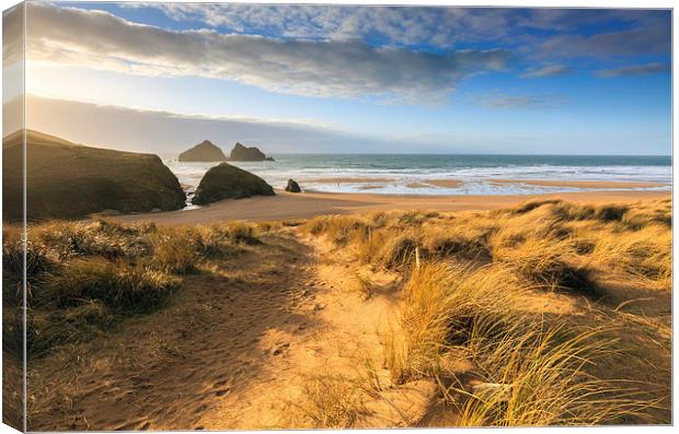 Evening Light (Holywell Bay) Canvas Print by Andrew Ray