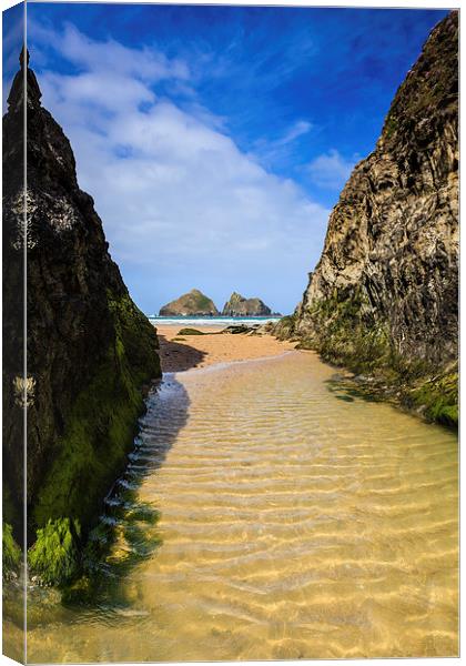 The Gully (Holywell Bay)  Canvas Print by Andrew Ray