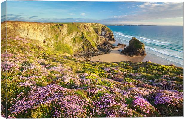 Spring at Bedruthan Steps Canvas Print by Andrew Ray