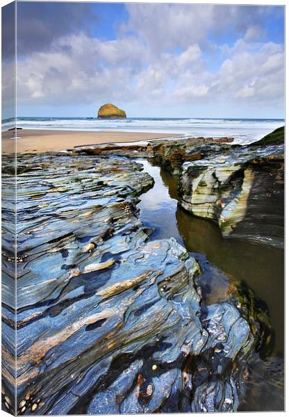 Stream at Trebarwith Canvas Print by Andrew Ray