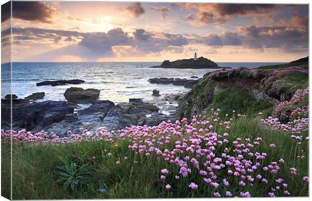 Thrift at Sunset (Godrevy) Canvas Print by Andrew Ray
