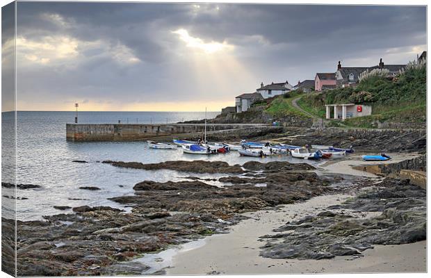 Towards Porthscatho Harbour Canvas Print by Andrew Ray
