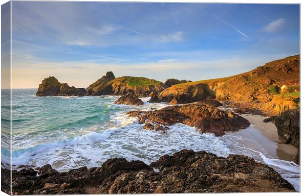 Morning at Kynance Cove Canvas Print by Andrew Ray