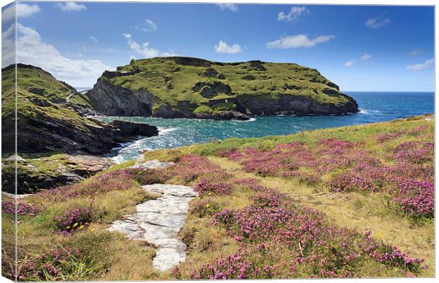 Towards Tintagel Castle Canvas Print by Andrew Ray