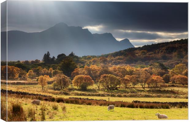 Light Shafts over Ben Loyal Canvas Print by Andrew Ray