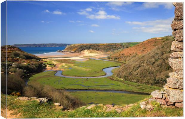Castle View (Pennard Burrows) Canvas Print by Andrew Ray