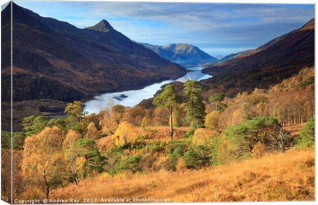 Above Loch Leven Canvas Print by Andrew Ray