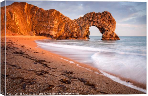 Late Light at Durdle Door Canvas Print by Andrew Ray