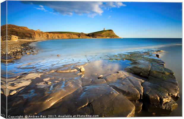 Ledge at Kimmeridge Canvas Print by Andrew Ray