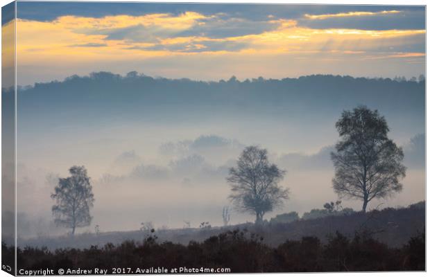 Misty Sunrise (Mogshade Hill Canvas Print by Andrew Ray