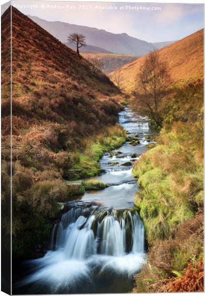Fairbrook  Canvas Print by Andrew Ray