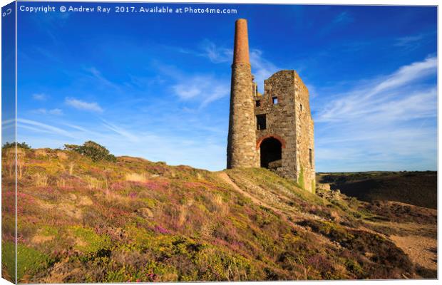 Tywarnhayle Engine House Canvas Print by Andrew Ray