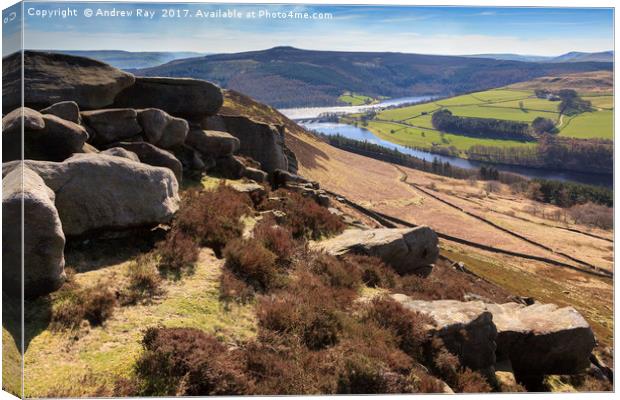 Whinstone Lee Tor Canvas Print by Andrew Ray