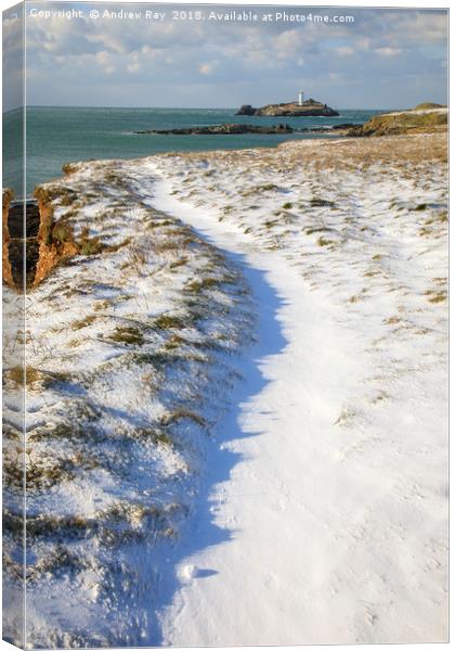 Snow covered path (Godrevy) Canvas Print by Andrew Ray