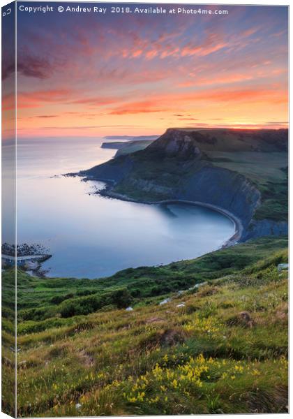 Chapman's Pool at Sunset by Andrew Ray Canvas Print by Andrew Ray