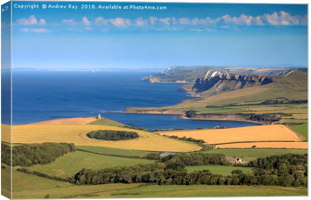 Above Kimmeridge Bay by Andrew Ray Canvas Print by Andrew Ray