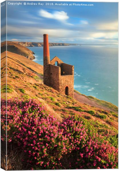 Summer Evening (Wheal Coates)  Canvas Print by Andrew Ray