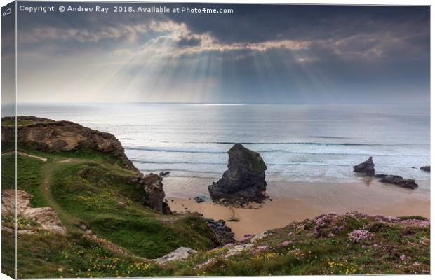Lights Shafts (Bedruthan Steps) Canvas Print by Andrew Ray