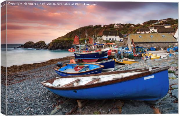 Cadgwith at Sunrise Canvas Print by Andrew Ray